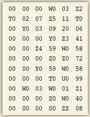 Машинный код