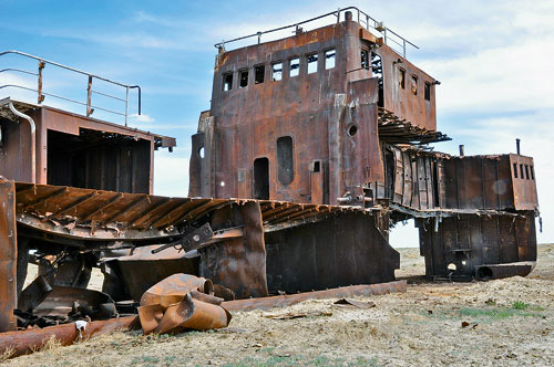 Фото Натальи Домриной («Наука и жизнь»)