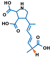 Домоевая кислота в кислой среде. Изображение: «Наука и жизнь»