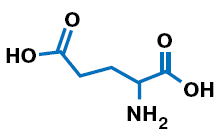 Глутаминовая кислота в кислой среде. Изображение: «Наука и жизнь»