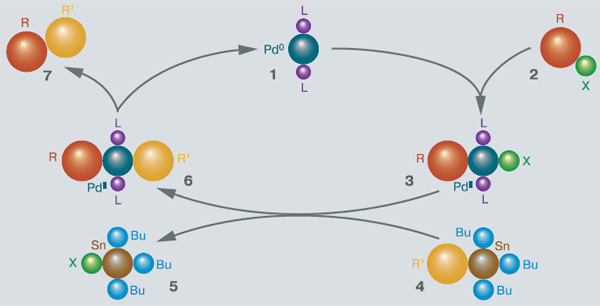 Рис. 2. Реакция Стилле, в процессе которой образуется новая углерод-углеродная связь в сложных органических молекулах. Катализатор, содержащий палладий (1), облегчает связывание двух органических групп (от молекул 2 и 4), которые образуют новую молекулу 7. В процессе реакции получаются два интермедиата 3 и 6