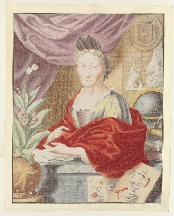 Мария Сибилла Мериан (1647–1717). Раскрашенная гравюра Я. Хоубракена (по портрету Г. Гзелля) из книги M. S. Merian «Der rupsen begin...» (Amsterdam, 1717). Artis Bibliotheek Университета г. Амстердама