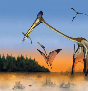 Изображение: «Экология и жизнь»