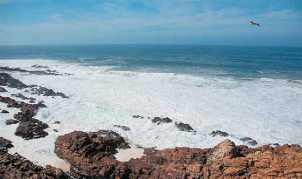 Изображение «Наука и жизнь»