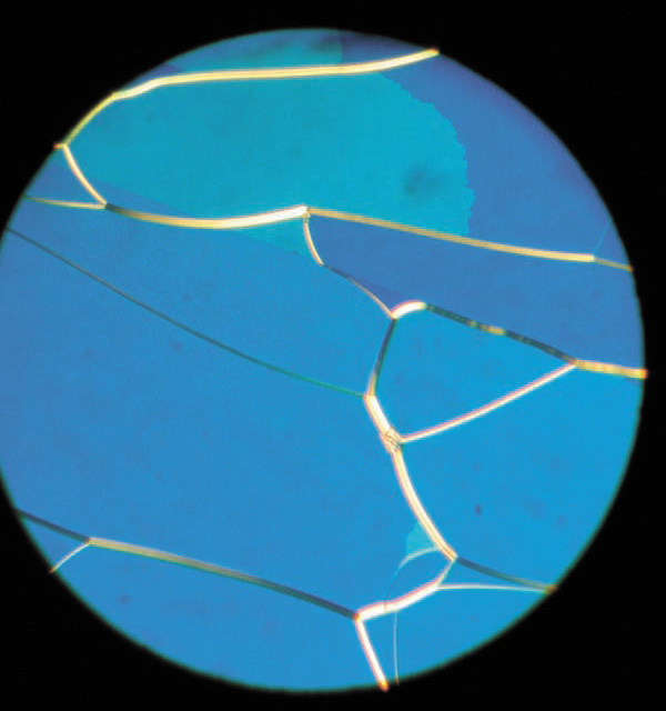 Холестерик с шагом спирали ~300 нм, планарная текстура