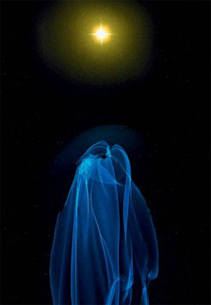 В начале XX века сам факт существования геомагнитного поля никак не поддавался объяснению (при том что о его самой парадоксальной особенности тогда просто не подозревали). Было известно, что магнитные полюса немного перемещаются по земной поверхности, но никто не предполагал, что они способны к более радикальному поведению, — это открытие было лишь на подходе. Изображение: «Популярная механика»