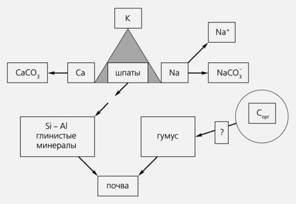Рис. 1. Схема формирования почвы. Изображение: «Природа»