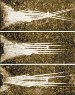 Рис. 3. Изображение: «Наука и жизнь»