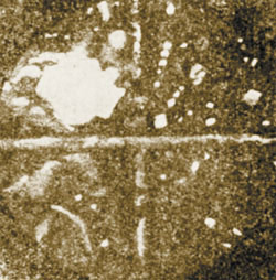 Рис. 5. Изображение: «Наука и жизнь»