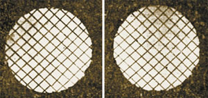 Рис. 6. Изображение: «Наука и жизнь»