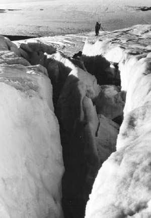 Такие трещины не оставляют шанса на спасение. Фото М.Г.Гросвальда. Изображение: «Химия и жизнь»