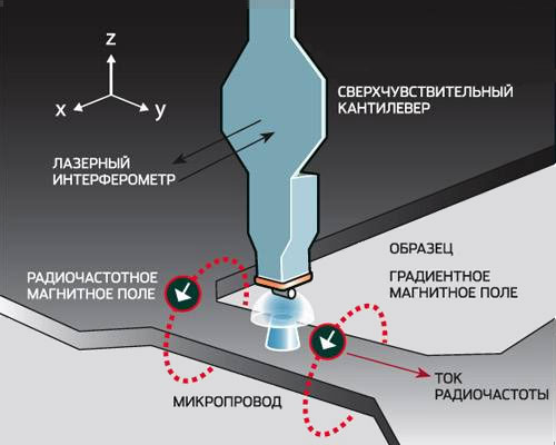 Как рассмотреть живые вирусы. Образец располагается на наконечнике кантилевера, под которым расположен постоянный магнит, создающий градиентное магнитное поле. Вокруг провода создается радиочастотное магнитное поле, взаимодействие спинов с полем определяется по амплитуде отклонения кантилевера. Изображение: «Популярная механика»