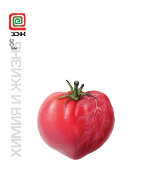 «Химия и жизнь» №8, 2006