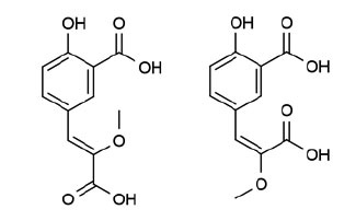<b>Рис. 2.</b> CompX — фрагмент люциферина <i>Fridericia heliota</i>; справа его неприродный изомер