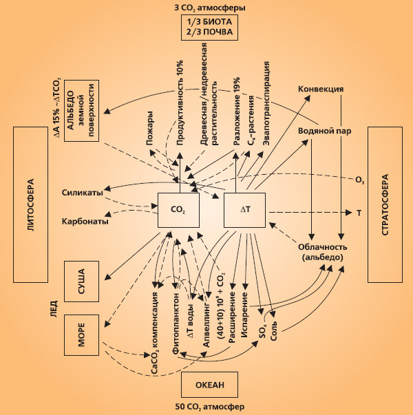 Рис. 4. Схема регуляции содержания атмосферной СО2. Изображение «Экология и жизнь»
