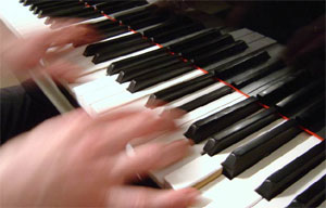 Давайте вообразим, что в пальцы какого-нибудь пианиста встроен рой шмелей-митохондрий, и он в результате может играть быстрее всех исполнителей в истории музыки. Здорово, конечно, но маловероятно, что при этом его игру будет приятно слушать (фото с сайта www.blairmcmillen.com)