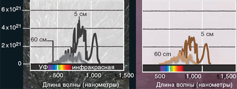 Под водой. Изображение «В мире науки»