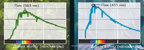 Свет звезды. Изображение «В мире науки»
