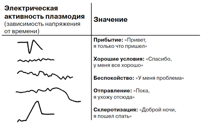 «Cловарь» плазмодия («Химия и жизнь» №4, 2016)