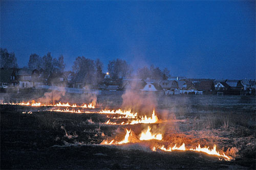 Нередко огонь по траве подбирается к сельским домам. На фото: горящая трава в районе Истринского водохранилища. Через несколько минут после этой съёмки загорелся дом, стоявший на краю посёлка. К счастью, его удалось вовремя погасить. Но так бывает, увы, не всегда. Соседний посёлок, к которому нет хорошей дороги, выгорел наполовину. Пожарные просто не успели приехать, да и вызвали их случайные свидетели возгорания, когда пламя уже бушевало вовсю