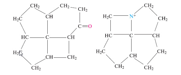 Рис. 3. Синтезированные фенестраны. Изображение: «Химия и жизнь»