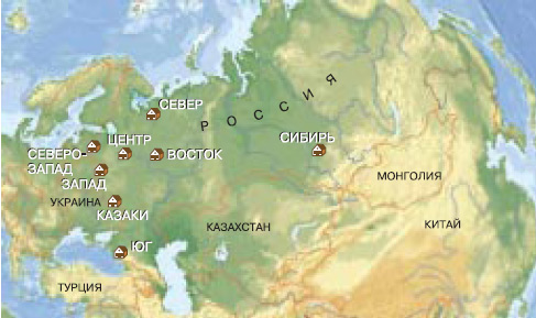 Восемь областей, в которых паспортные фамилии изучались с точки зрения генетики (изображение: «Химия и жизнь»)