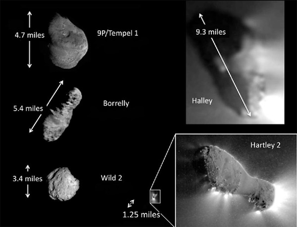Ядра исследованных комет: Темпель-1, Борелли, Вилд-2, Галлей и Хартли-2. Все, кроме Хартли-2, в одинаковом масштабе. В скобках указаны названия исследовавших их аппаратов. Ядро кометы Борелли по форме похоже на ядро Хартли-2, но в четыре раза длиннее. Снимок сделан с большего расстояния, и различить подробности на нём не удаётся. Фото ©NASA/JPL-Caltech/UMD