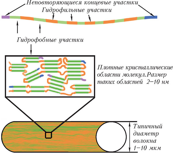 Рис. 3. Рекомбинантный белок паутины, способный образовывать особые структуры — тончайшие нити диаметром 3–5 нм. Изображение: «Квант»