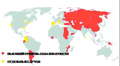 Распространенность так называемого MDR-туберкулеза, устойчивого к известным антибиотикам (по данным ВОЗ на 2004 год)