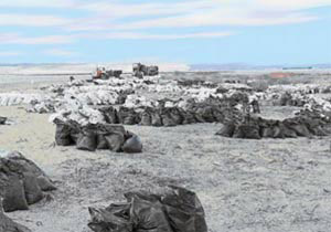 Загрязнённый мазутом песок с острова Тузла подготовлен к отправке на материк для утилизации. Фото И. Кудрик, «Наука и жизнь»
