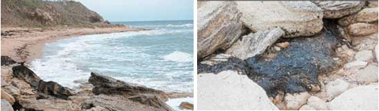 К марту 2008 года в бухтах мыса Белый (фото вверху) остались лишь отдельные пятна мазута под камнями. Фото: «Наука и жизнь»