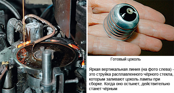 Фото: «Наука и жизнь»