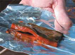 Циано-бактериальный мат в разрезе. Изображение: «Экология и жизнь»