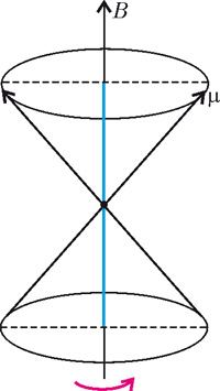 Рис. 2. Только одна проекция вектора магнитного момента постоянна, две другие быстро меняются. Изображение: «Квант»