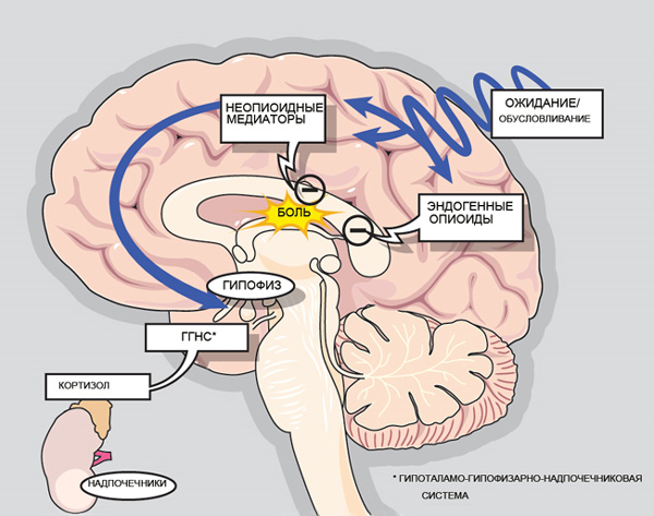 Как вылечить болезни без лекарств