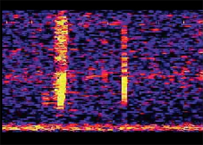 Спектрограмма Bloop. С этим звуком связано огромное количество легенд в духе «теории заговора». Самая известная основана на том, что координаты эпицентра звука близки к литературным координатам подводного города Р’льех, где спит придуманное Говардом Лавкрафтом чудовище Ктулху