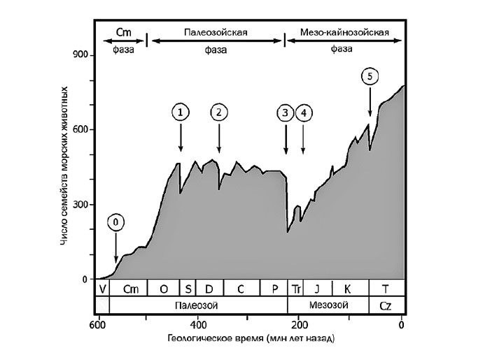 График Сепкоски, изображающий динамику разнообразия морских животных в фанерозое. Изображение: geoheritagescience.wordpress.com («Химия и жизнь» №11, 2016)