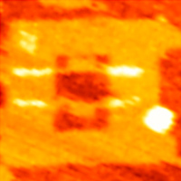 Рис. 1. Схема перехода ротора (показан красным цветом) ДНК-мотора из B-формы в Z-форму при увеличении концентрации ионов Mg2+ и обратного перехода при уменьшении концентрации ионов