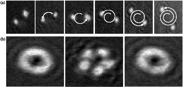 Рис. 4. Примеры манипуляции с бозе-конденсатом в ловушке с меняющимся во времени «нарисованным потенциалом»