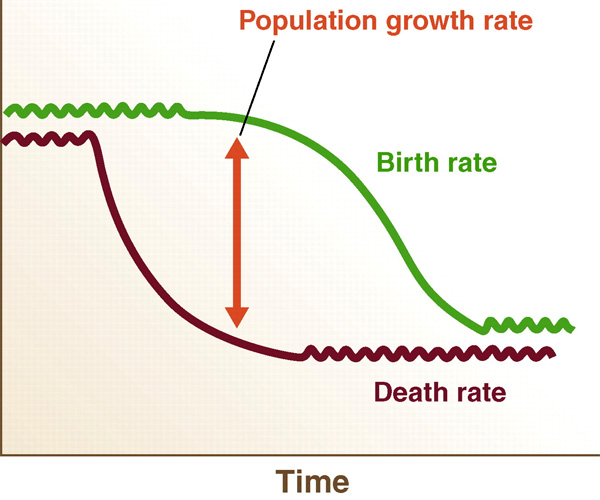 Рис. 3. Схема демографического перехода: повышение уровня здравоохранения резко снижает смертность, прежде всего младенческую, но рождаемость в течение некоторого времени остается еще высокой. Поэтому резко возрастает и скорость популяционного роста (показана стрелкой). Из: Science. 2011. V. 333. P. 562–569