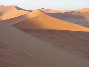 Наступление песков не лучше наступления ледников, хотя и не менее красивое (фото с сайта www.dartmouth.edu)