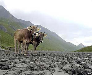 Жара в Европе в июле-августе 2003 года привела к высвобождению 500 миллионов тонн CO2 (на фото: озеро в Швейцарии на высоте 2300 м высохло почти полностью). Изображение с сайта news.bbc.co.uk