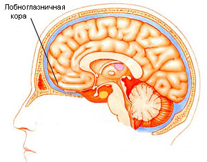 Здесь находится зона сожаления об утраченных возможностях