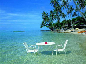 Мы привыкли смотреть на тропики как на райский уголок, не задумываясь о том, насколько этот «уголок» уязвим (фото с сайта www.jokeworm.com)