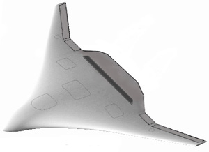 Примерно так будет выглядеть корпус «бесшумного самолета» (изображение с сайта www.aip.org)