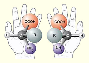 Аминокислоты имеют две зеркально симметричные формы. Иллюстрация: NASA