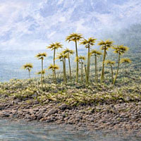 Рис. 1. Первые наземные растения, изменившие ландшафт Земли в позднем ордовике