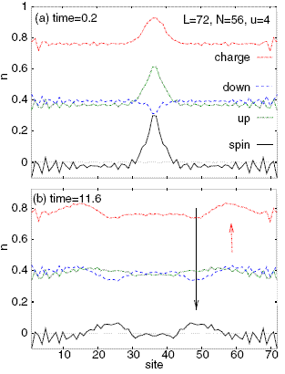 Квазичастицы, несущие спин (черный график) и заряд (красный график), разбегаются из начальной точки с разной скоростью (изображение с сайта arxiv.org)