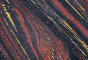 На снимке хорошо видна полосчатая структура ПЖФ (фото с сайта z.about.com)