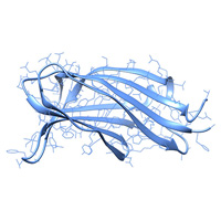 Трехмерная структура белка отоферлина
